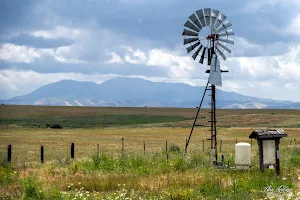 Rush Ranch Open Space image