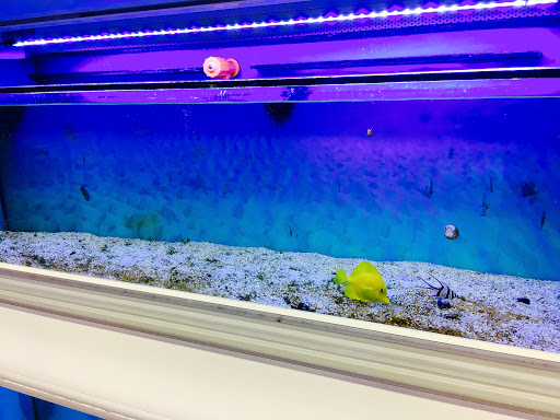 Pet Supply Store «Petco Animal Supplies», reviews and photos, 453 Encinitas Blvd, Encinitas, CA 92024, USA