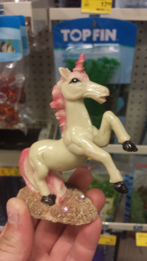 Pet Supply Store «PetSmart», reviews and photos, 1391 S Commons Dr, Myrtle Beach, SC 29588, USA