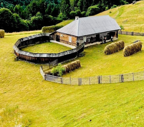 Opinii despre Anieș în Bistrița - Spital