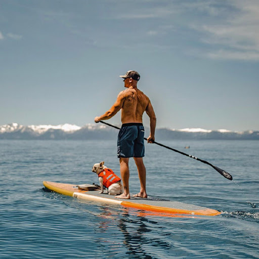 POP Board Co. image