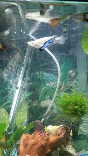 Fish Farm «Aquarium & Garden Inc.», reviews and photos, 1610 S 341st Pl f, Federal Way, WA 98003, USA