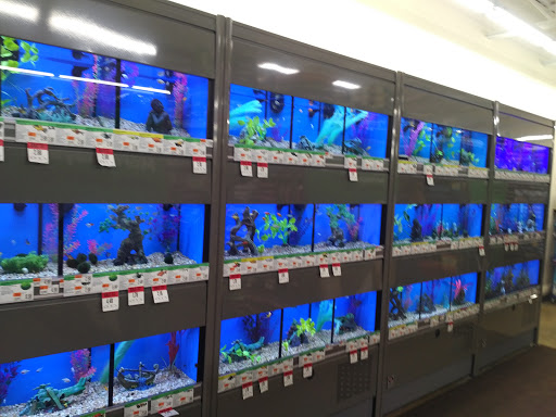 Pet Supply Store «Pet Supplies Plus», reviews and photos, 8175 Sheridan Blvd a, Arvada, CO 80003, USA