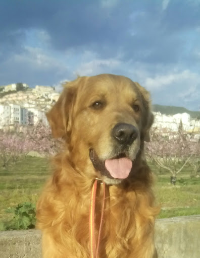 Clínica Veterinaria Mediterráneo en Cenes de la Vega