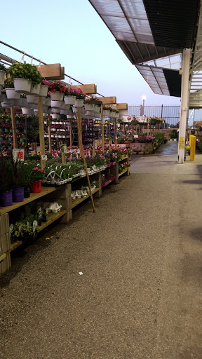 Home Improvement Store «Menards», reviews and photos, 5555 Clyde Park Ave SW, Wyoming, MI 49509, USA