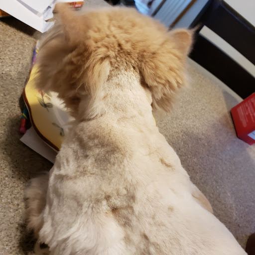 Pet Supply Store «PetSmart», reviews and photos, 105 Wagner Rd, Monaca, PA 15061, USA