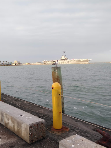 Art Museum «The Art Museum of South Texas», reviews and photos, 1902 N Shoreline Blvd, Corpus Christi, TX 78401, USA