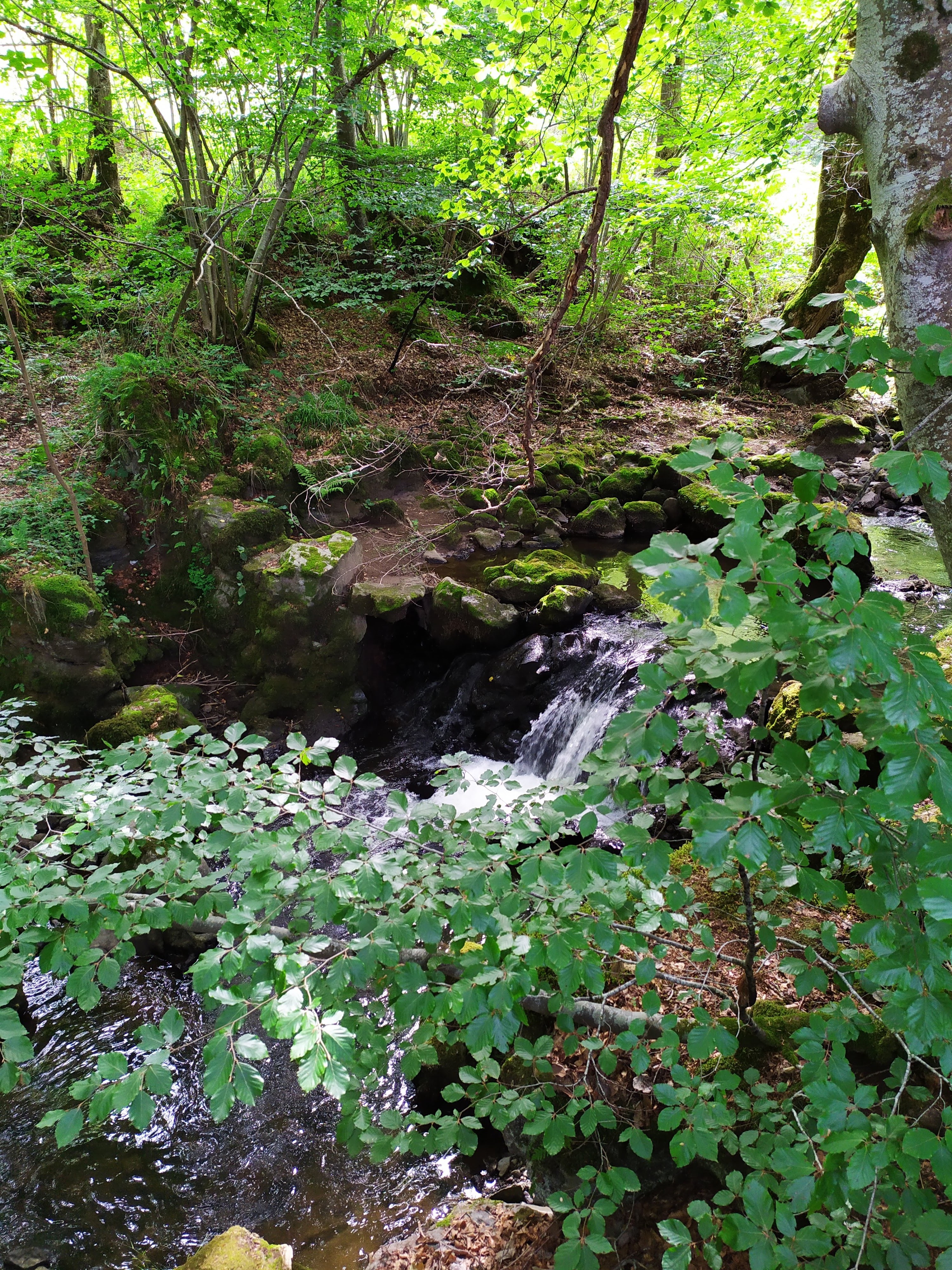 Photo n° 11 de l'avis de plancton.c fait le 21/08/2019 à 16:21