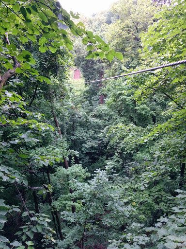 Recreation Center «Go Ape Zip Line & Treetop Adventure - Creve Coeur Park», reviews and photos, 13219 Streetcar Dr, Maryland Heights, MO 63043, USA