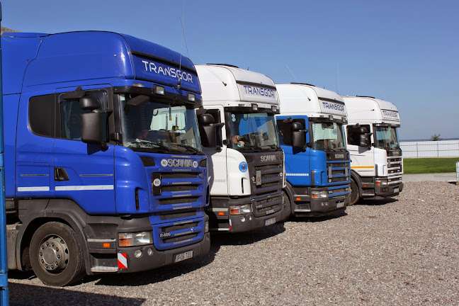 Opinii despre Transgor Logistik în <nil> - Servicii de mutare