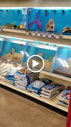 Pet Supply Store «PetSmart», reviews and photos, 159 N Weber Rd, Bolingbrook, IL 60490, USA