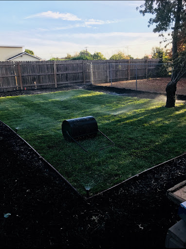 Best Quality Lawn And Gardening Services