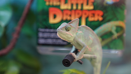 Pet Supply Store «Petco Animal Supplies», reviews and photos, 3012 Bridgepointe Pkwy, San Mateo, CA 94404, USA