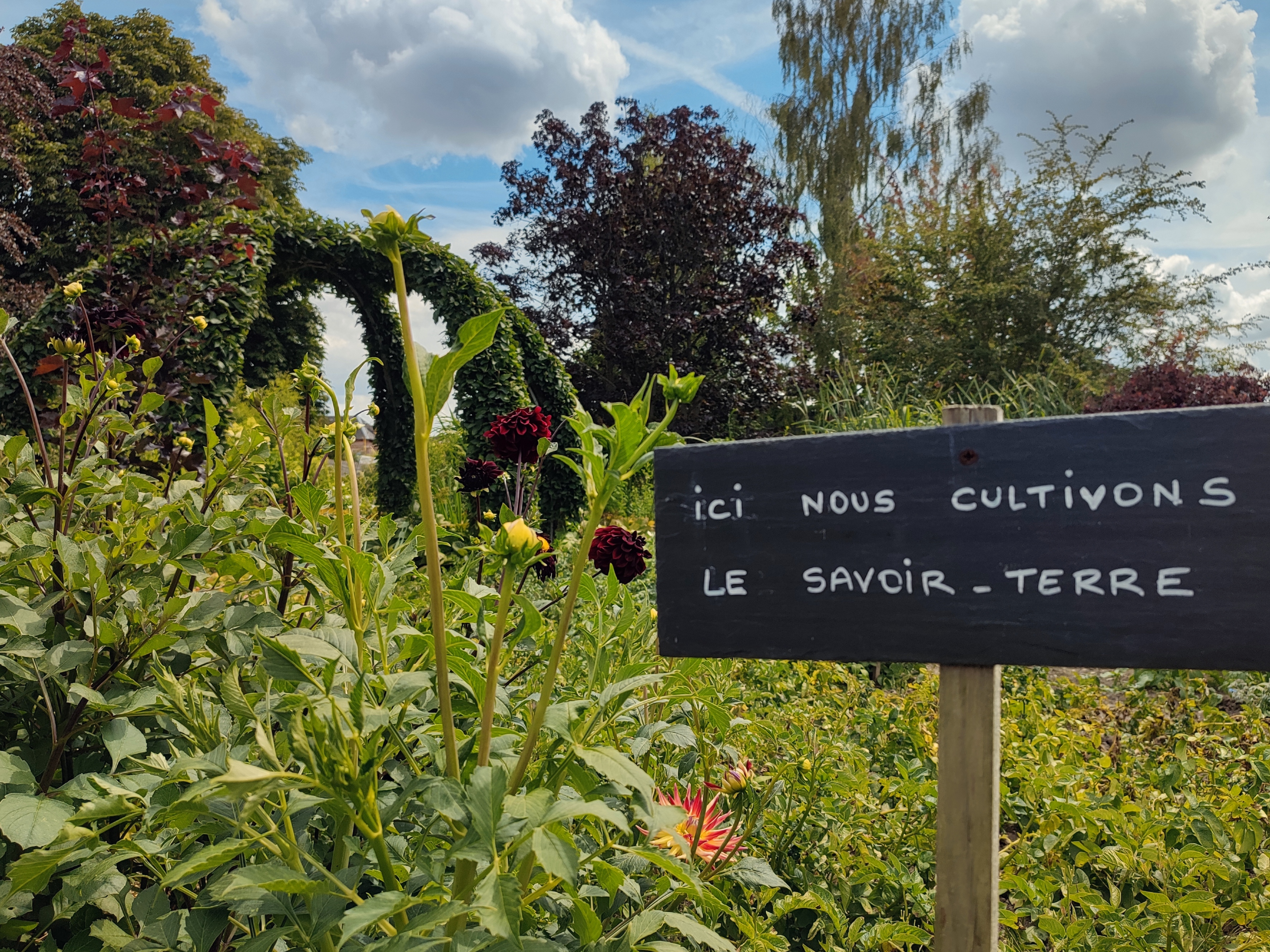 Photo n° 11 de l'avis de Laure.a fait le 20/07/2023 à 16:30