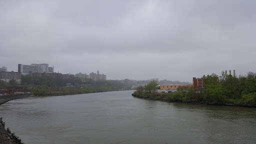 Gym «Planet Fitness», reviews and photos, 82 W 225th St, Bronx, NY 10463, USA