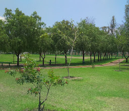 Sport New Millennium photo