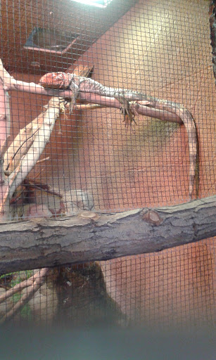 Aquarium «Aquarium of Boise», reviews and photos, 64 N Cole Rd, Boise, ID 83704, USA