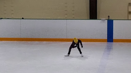 Ice skating instructor