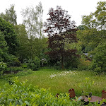 Photo n°5 de l'avis de Felix.. fait le 08/06/2017 à 18:56 sur le  AKZENT Hotel Zur Wasserburg Hotel Garni - bed & breakfast à Harpstedt