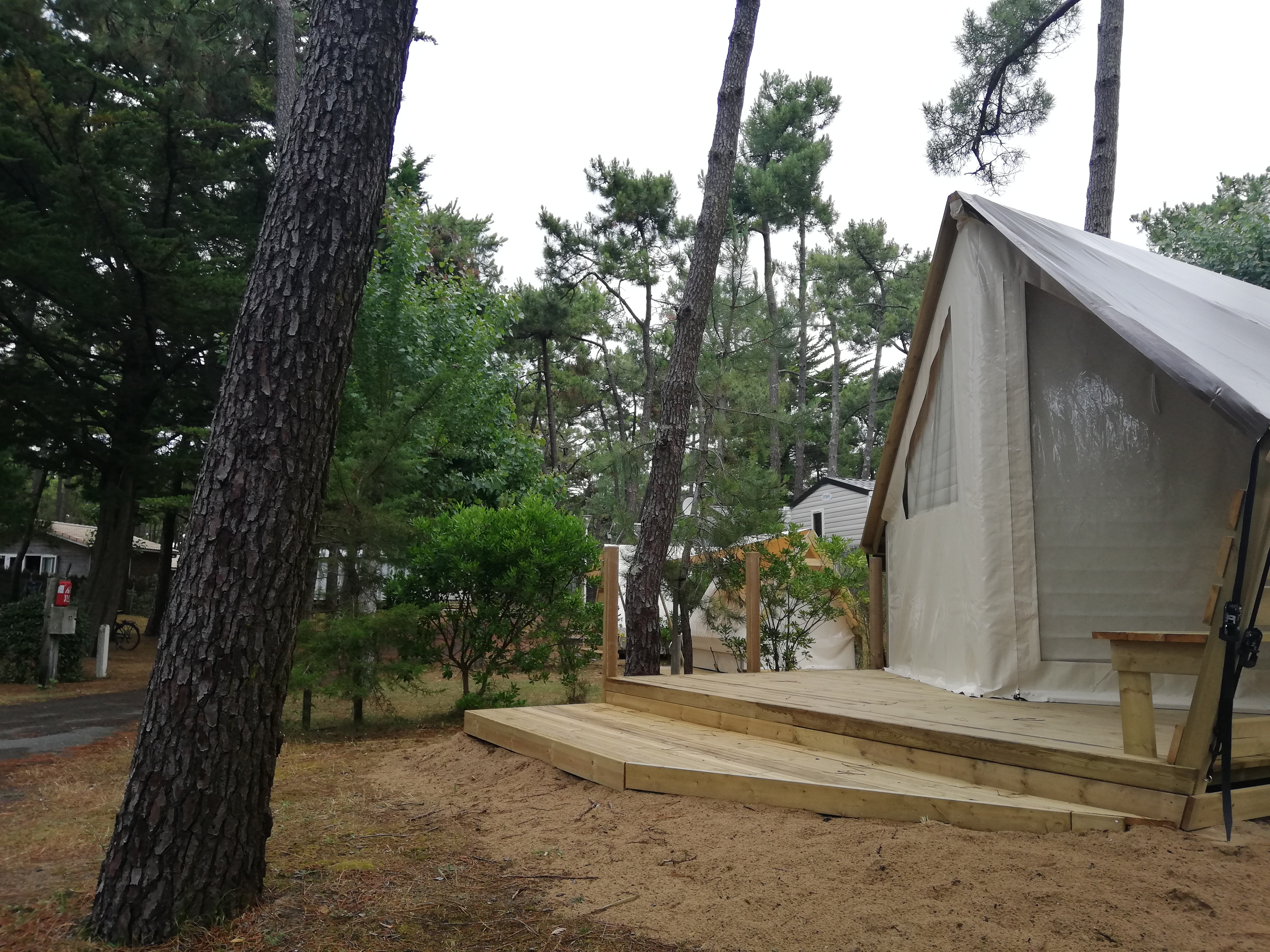 Photo n° 3 de l'avis de Taz. fait le 03/07/2019 à 09:20