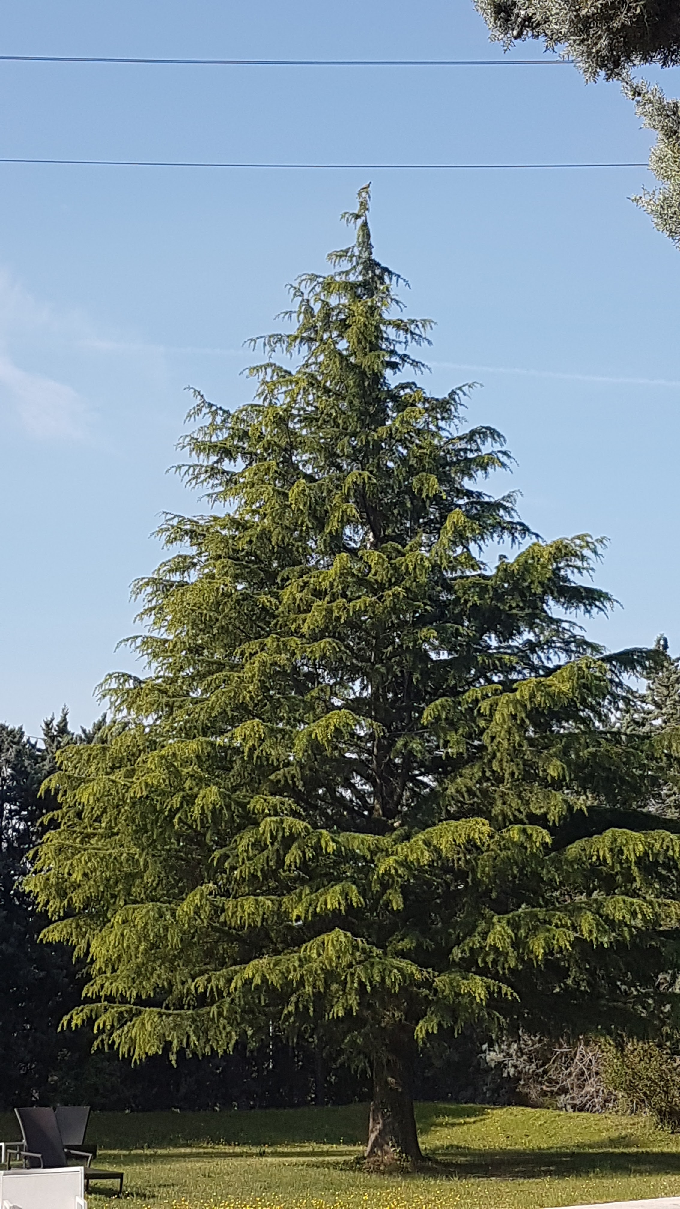 Photo n° 8 de l'avis de sandy.a fait le 22/04/2019 à 08:33