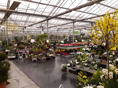 Les Serres du Mélantois 2291 Rue de Lille, 59262 Sainghin-en-Mélantois, France