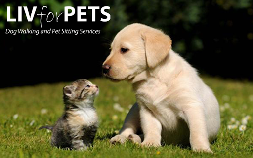 Dog sitter Luton