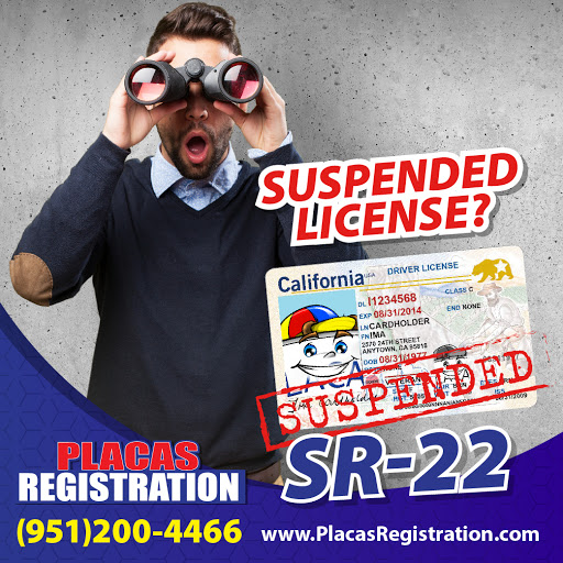 Department of Motor Vehicles «Placas Trucking Insurance & Registration Services», reviews and photos