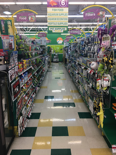 Pet Supply Store «Pet Supplies Plus», reviews and photos, 7331 Park Blvd N, Pinellas Park, FL 33781, USA