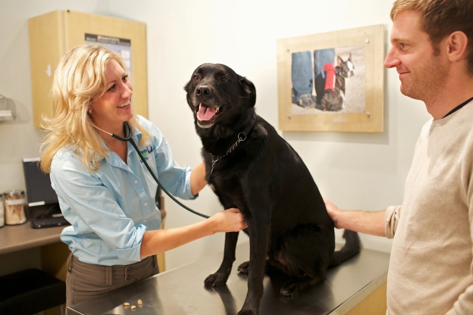 Your Pets Wellness (Bucktown), A Thrive Pet Healthcare Partner