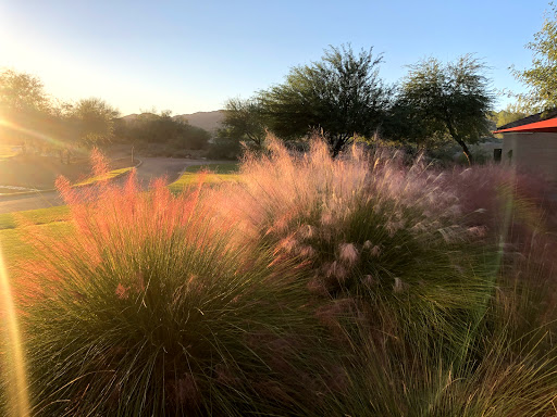 Golf Club «Verrado Golf Club», reviews and photos, 4242 N Golf Dr, Buckeye, AZ 85396, USA