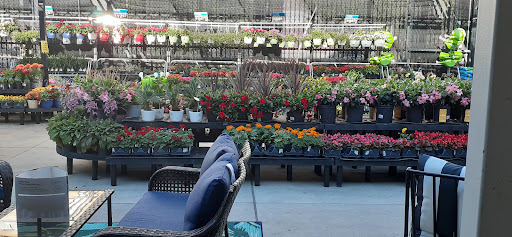 Department Store «Walmart Supercenter», reviews and photos, 1505 N Dale Mabry Hwy, Tampa, FL 33607, USA