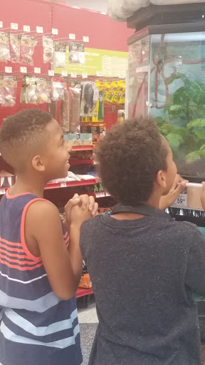 Pet Supply Store «Petco Animal Supplies», reviews and photos, 7715 Laguna Blvd, Elk Grove, CA 95758, USA