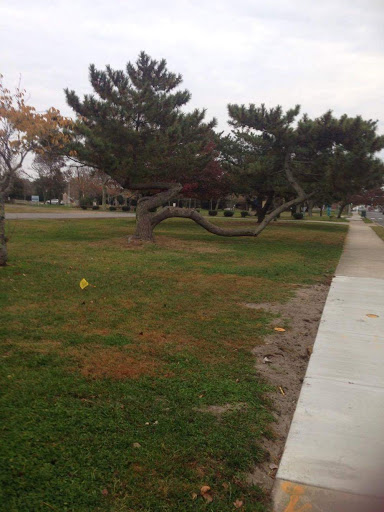 Health Club «The YMCA of Vineland», reviews and photos, 1159 E Landis Ave, Vineland, NJ 08360, USA