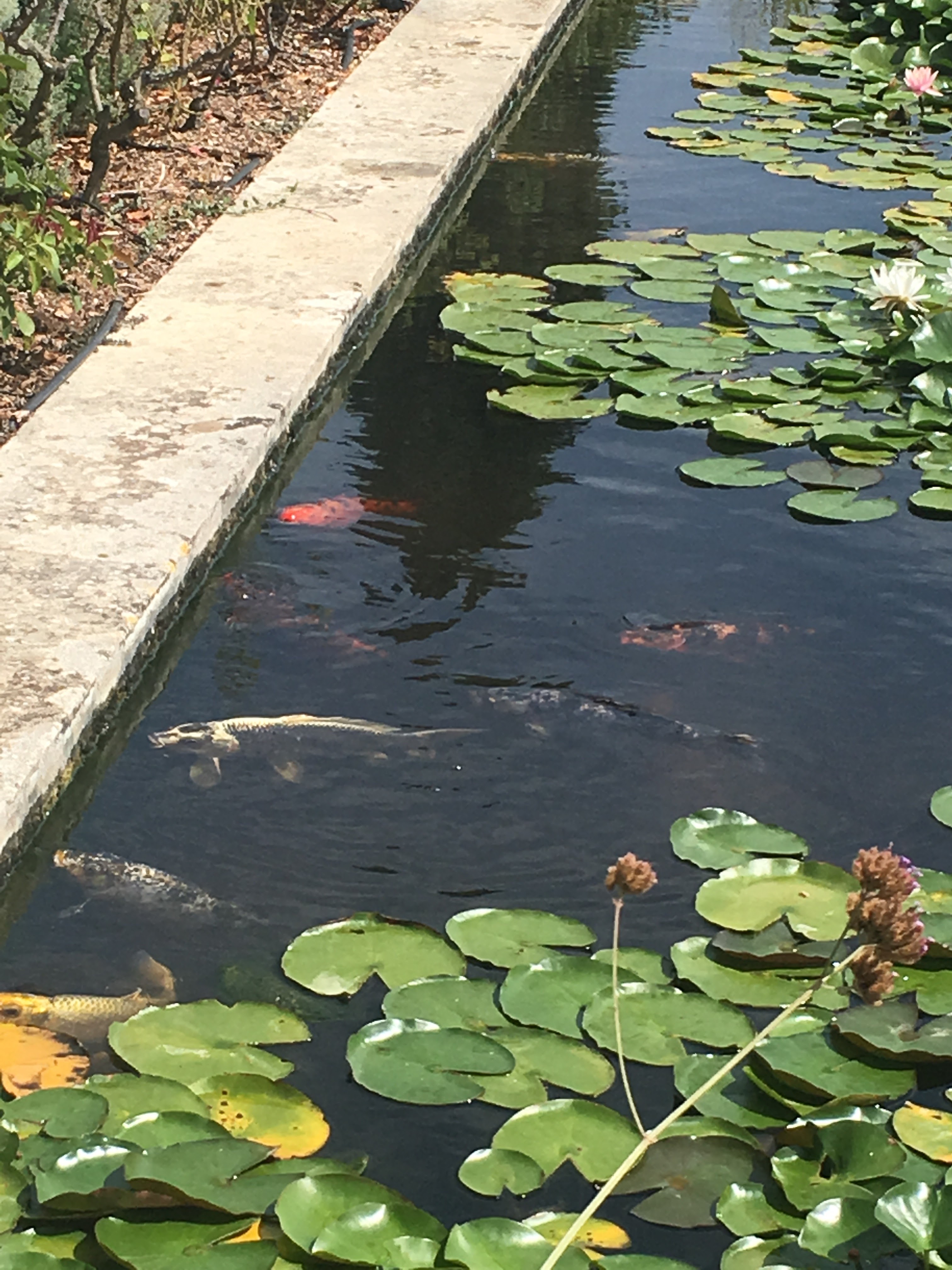 Photo n° 5 de l'avis de Diversion.0 fait le 13/08/2018 à 16:18