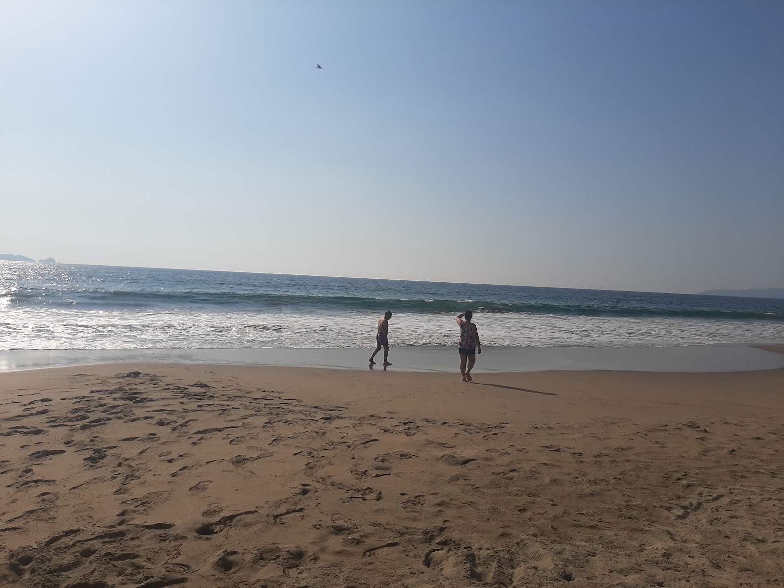 Playa El Petatillo'in fotoğrafı kısmen temiz temizlik seviyesi ile