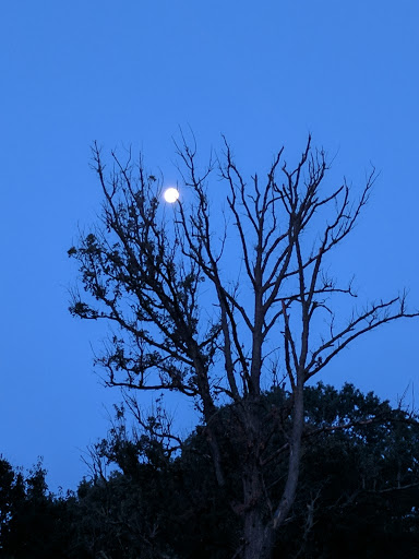 Park «Arsenal Park», reviews and photos, 1400 E 46th St, Indianapolis, IN 46205, USA