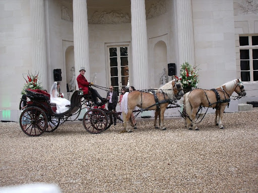 ECURIES DU VIEUX CHATEAU à Lumigny-Nesles-Ormeaux, Seine-et-Marne