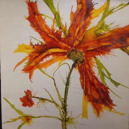 Art Gallery «Woolworth Walk», reviews and photos, 25 Haywood St, Asheville, NC 28801, USA