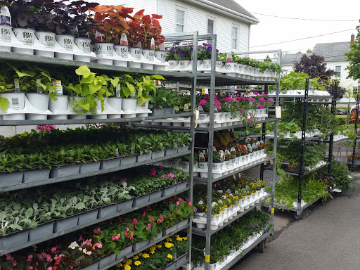 Florist «Currans Flowers», reviews and photos, 15 Park St, Danvers, MA 01923, USA