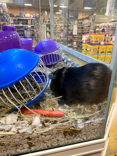 Pet Supply Store «PetSmart», reviews and photos, 14025 SW 88th St, Miami, FL 33186, USA