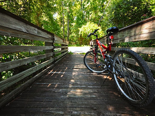 Bicycle Store «Deland Cyclery», reviews and photos, 111 W Indiana Ave, DeLand, FL 32720, USA