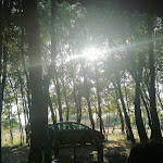 Photo n° 2 de l'avis de Vincenzo.o fait le 19/07/2022 à 10:38 pour Camargue Autrefois à Le Cailar