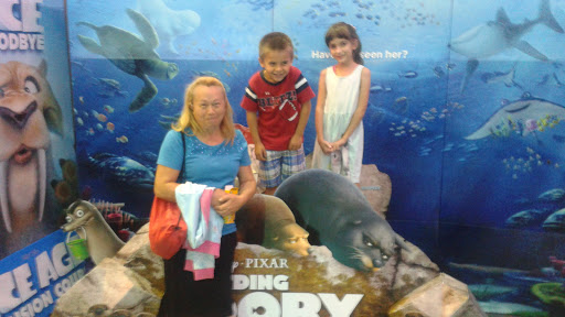 Movie Theater «Regal Cinemas Citrus Park 20», reviews and photos, 7999 Citrus Park Town Center Mall, Tampa, FL 33625, USA