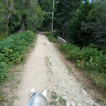 Photo n°1 de l'avis de alberto.a fait le 06/06/2023 à 13:06 sur le  Hotel Sila à Camigliatello Silano