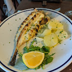 Photo n°1 de l'avis de Petar.e fait le 06/08/2019 à 10:24 sur le  Parco delle Rose à Lido