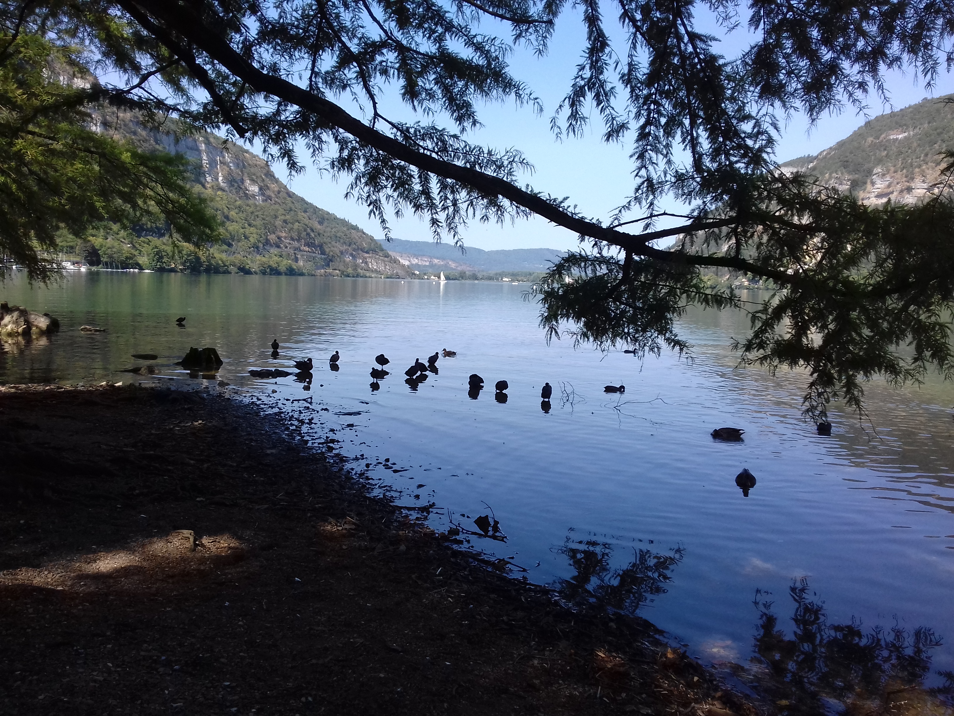 Photo n° 2 de l'avis de DJ.i fait le 22/08/2018 à 10:18
