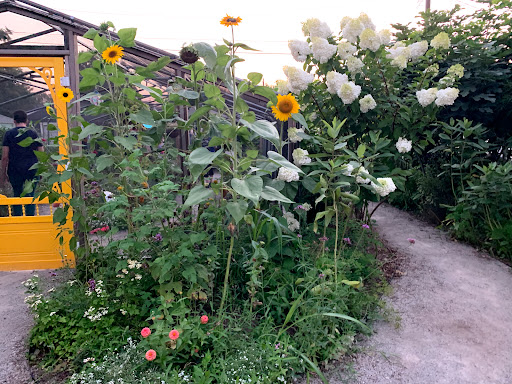 Farm «Idlewild Butterfly Farm», reviews and photos, 1100 Logan St, Louisville, KY 40204, USA