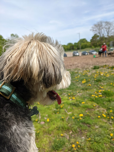 Dog Park «Stillwater MN Dog Park», reviews and photos, 148 Myrtlewood Ct, Stillwater, MN 55082, USA