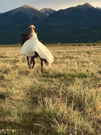 B-Bar-B Ranch | Ride The Horse